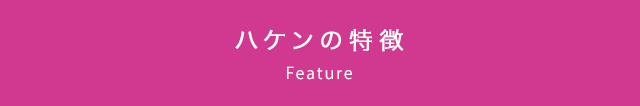 ハケンの特徴 Feature